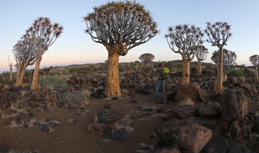 The Grit and Grind of Namibia