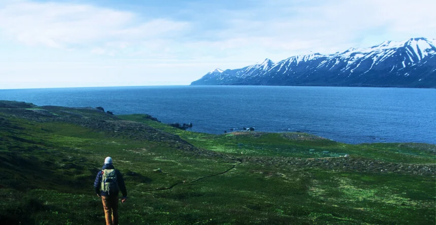 Escape From Reykjavik