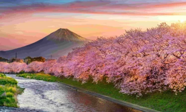 Japan
